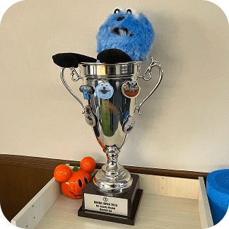 大会で獲得したトロフィーとジム内に飾られた記念品